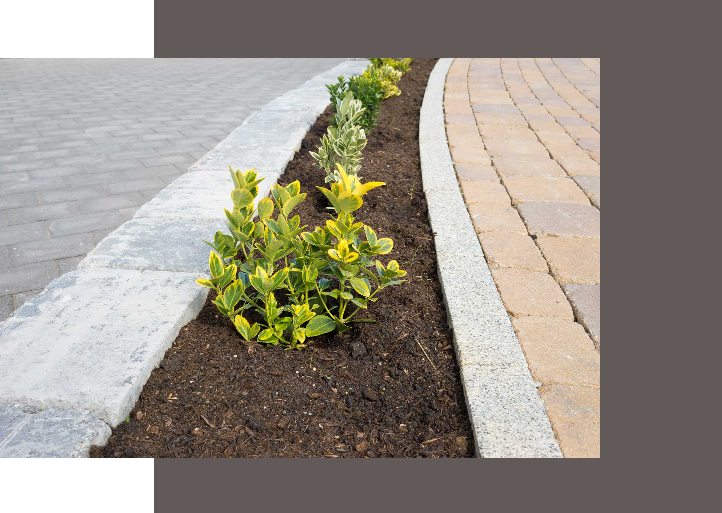 Straßenbau Halle, Wegebau, Pflasterarbeiten, Halle Saale, Leipzig, Landsberg, Tiefbau, Kanalbau, Bauwerkstrockenlegung, Abbruch, Entkernung, Garten- und Landschatsbau, Rekultivierung, Galabau, KTS GmbH, BfB GmbH,